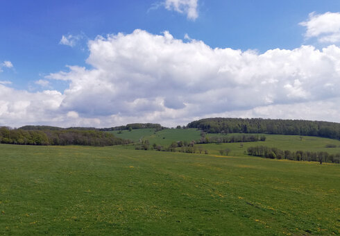 Bauernhof Schuchert