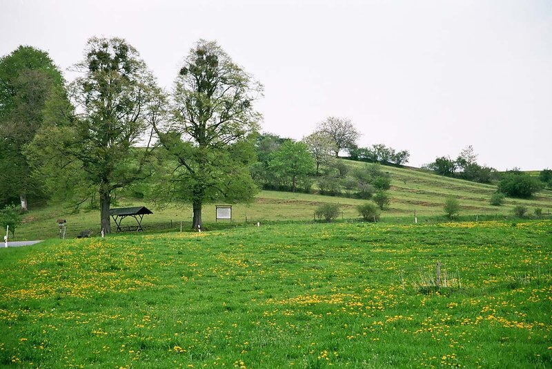 Landschaft bei Fischbach