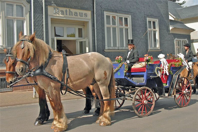 Reit- und Kutschtouristik Ortlepp