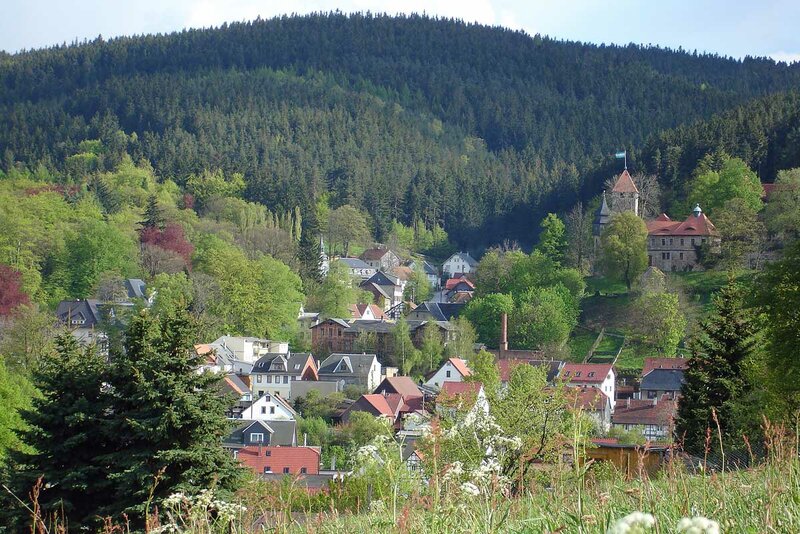 Landschaft bei Elgersburg