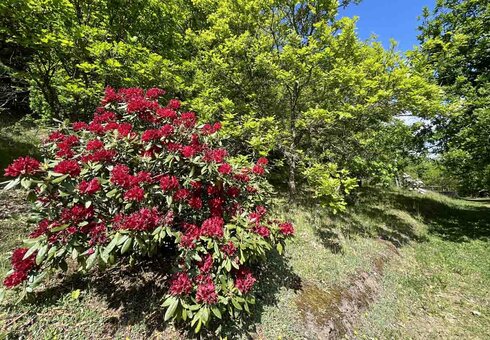 Forstbotanischer Garten