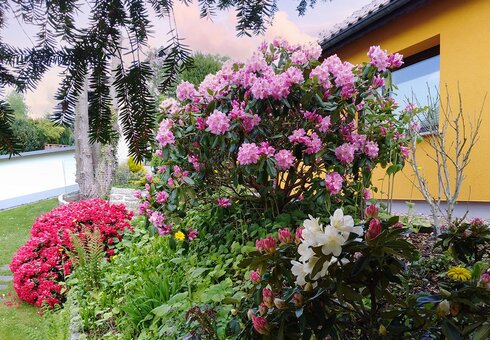 Blumenpracht am Ferienhaus