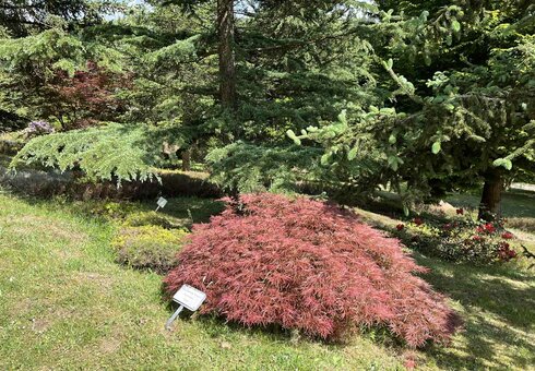 Forstbotanischer Garten