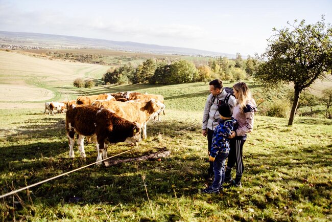Wanderwege Hohe Schrecke