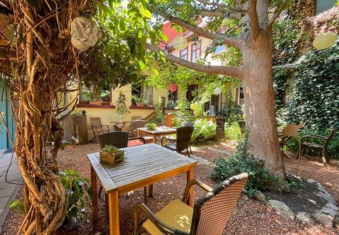 Biergarten / Terrasse mit Ginkgobaum