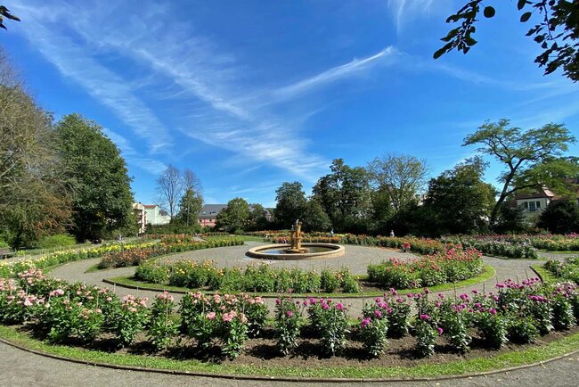 Dahliengarten (© Foto: Claudia Steinhäußer)