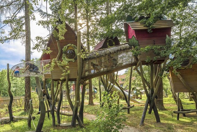 Abenteurwildnis Im Reich des Fagati