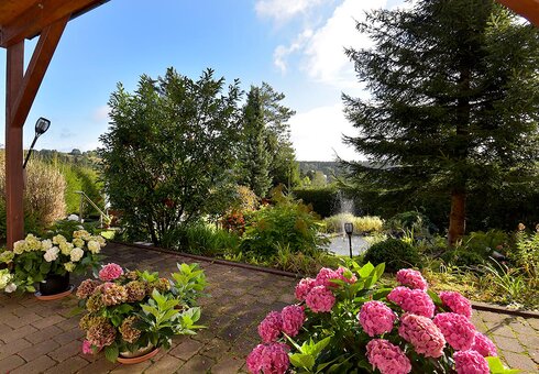 Blick in den Garten