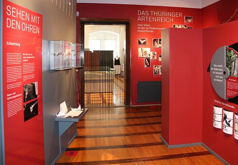Regionalmuseum Bad Frankenhausen