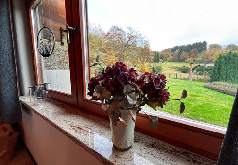 Blick aus dem Fenster