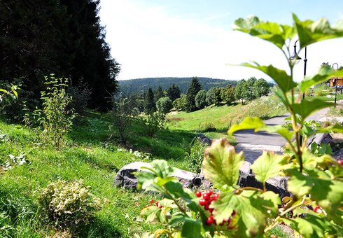 Ausblick in die umliegende Natur