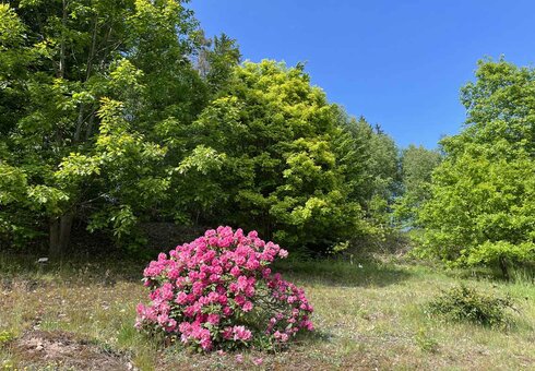 Forstbotanischer Garten