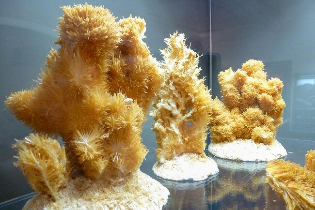 Regionalmuseum Bad Frankenhausen