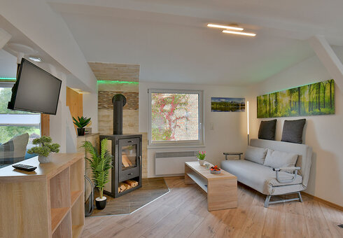 Wohnzimmer mit Couch und TV