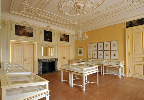 Gelber Salon @ Foto: Christian Freund