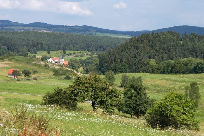 Landschaft im Auengrund