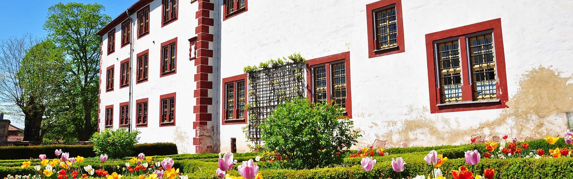 Schloss Wilhelmsburg