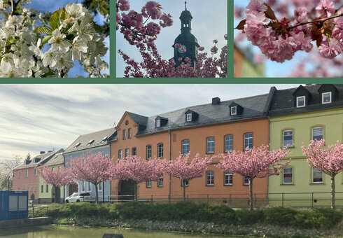 Pension "Am Teich"