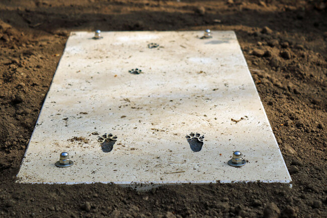 Waldpfad-Schlauer-Ux-natura-jenensis