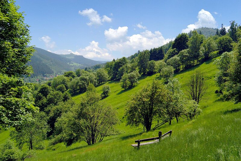 Landschaft in der Ferienregion Haseltal