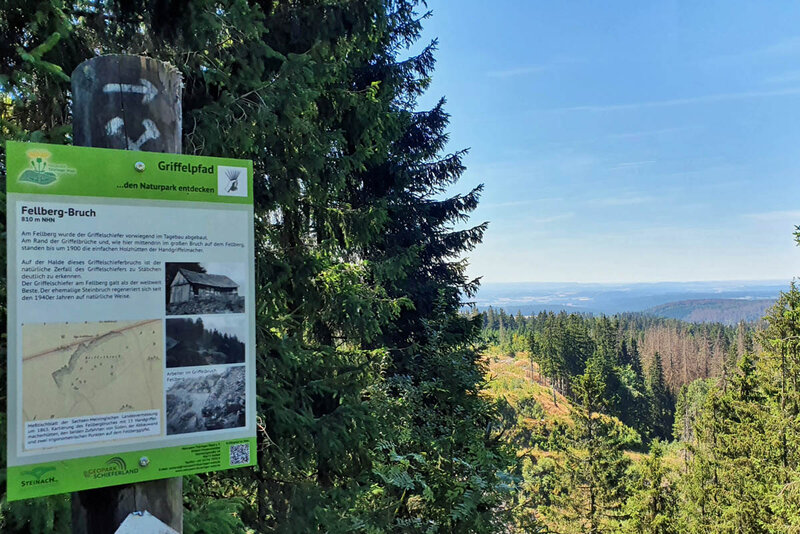 Steinach - Wandern am Pathelsbruch