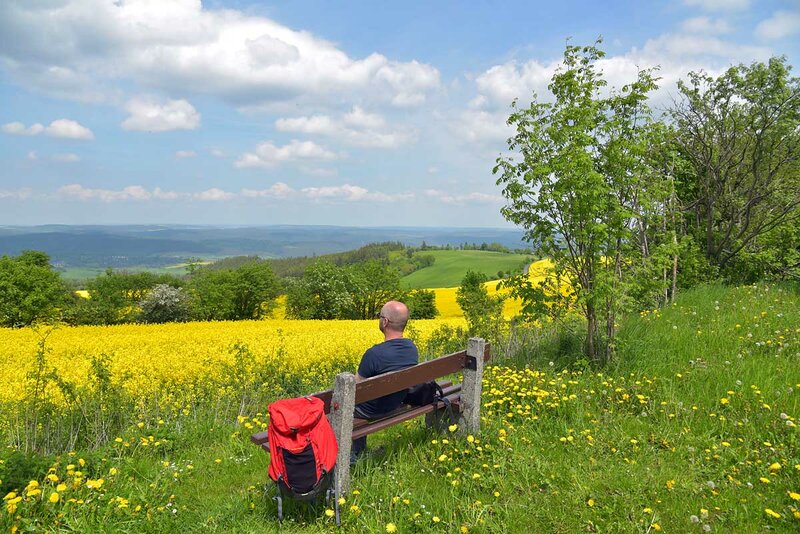 Landschaft mit Rapsfeld bei Oberhain