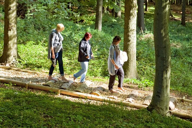 Barfußweg Masserberg