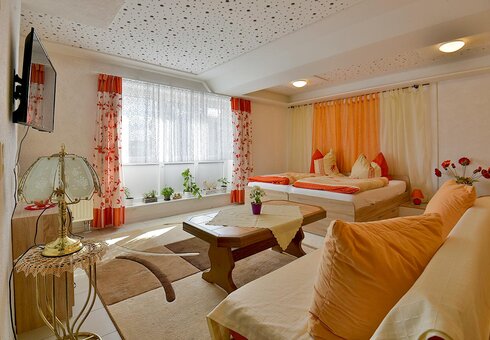 Ferienwohnung 2 (Wohn-Schlafzimmer)