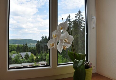 Ausblick in die Umgebung