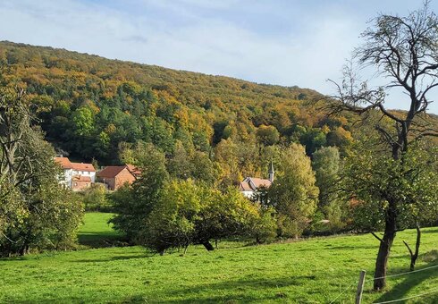 Ferienwohnung Rhön-Kutscher