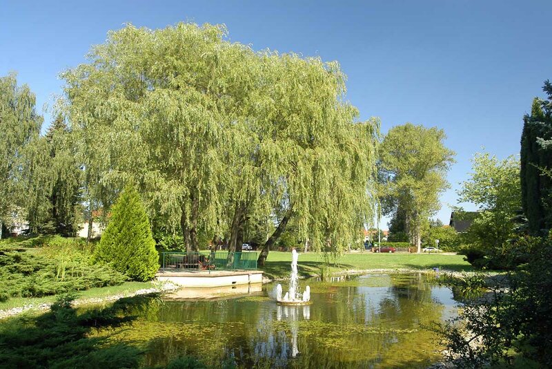 Teich im Kurpark