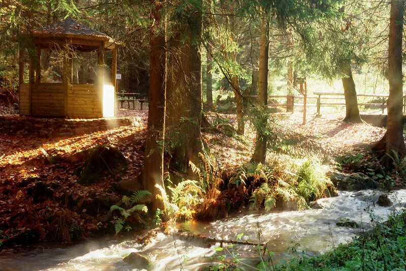 Herbst im Lauchagrund