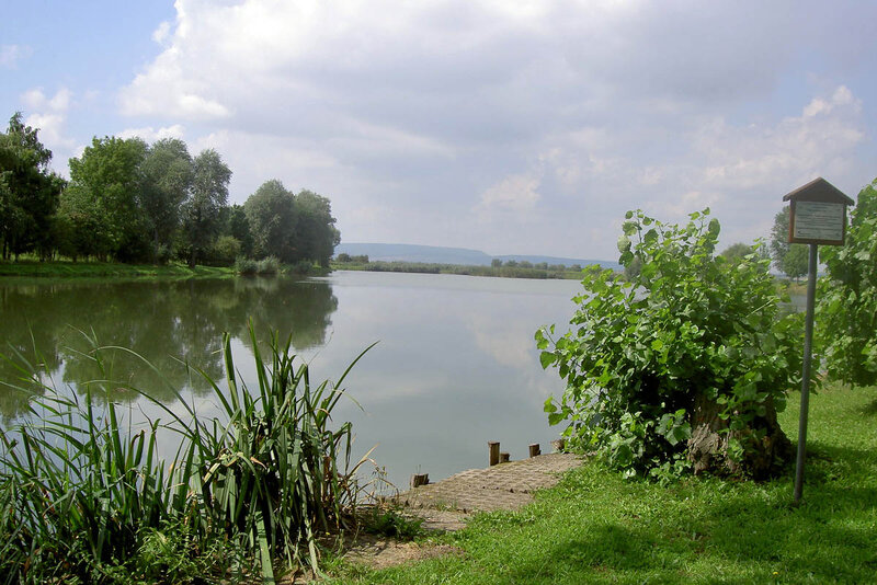 Schönfelder See
