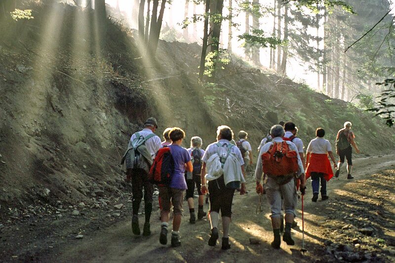 Wanderung bei Viernau