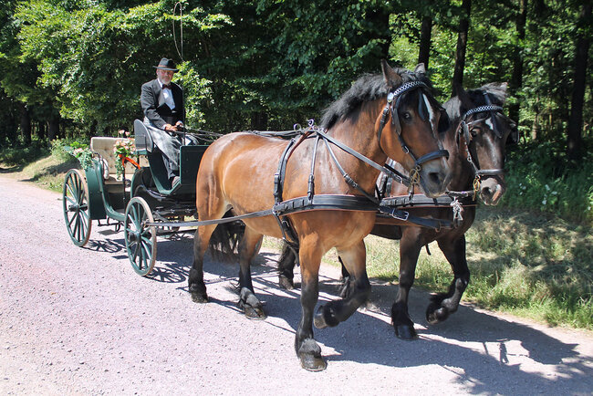 Reiterhof Rosenberger Hof