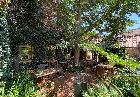 Biergarten / Terrasse mit Ginkgobaum