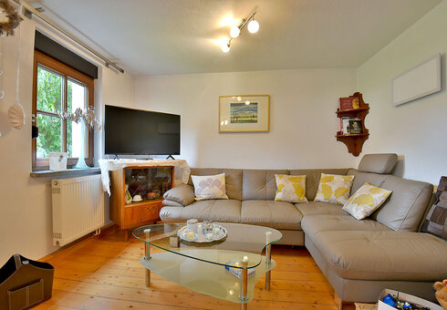Wohnzimmer mit Couch und TV