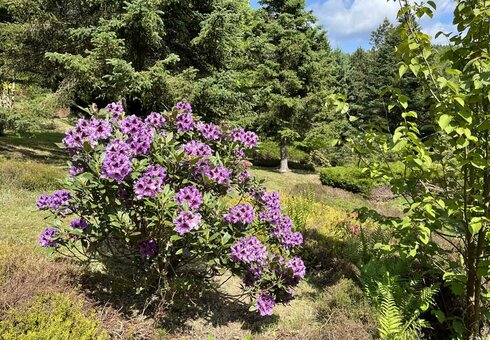 Forstbotanischer Garten