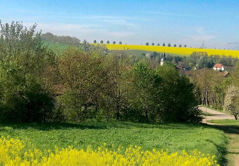 Landschaft bei Auerstedt