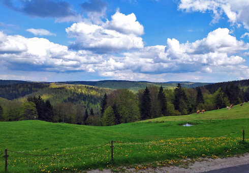 Ferienwohnung "Haus Silberblick" ****