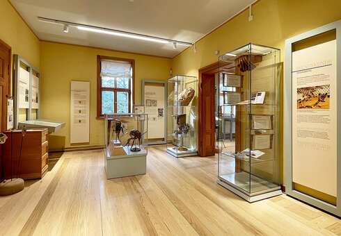 Deutsches Bienenmuseum Weimar
