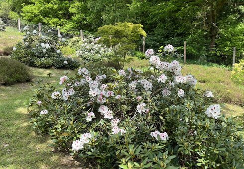 Forstbotanischer Garten