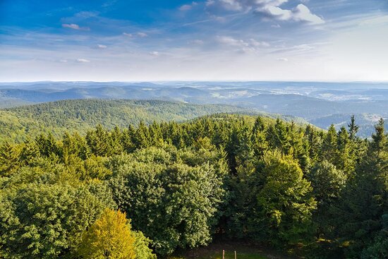 Ferien Residenz Thüringer Wald