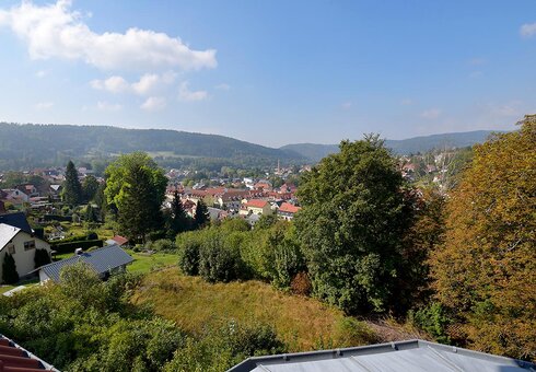 Blick auf Zella-Mehlis