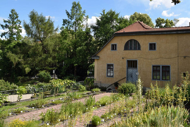 Botanischer Garten Jena