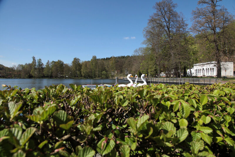 Hammerteich in Georgenthal