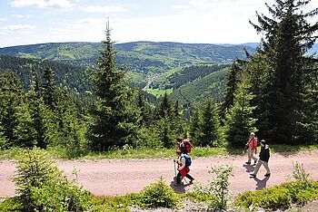 Wanderweg im Thüringer Wald