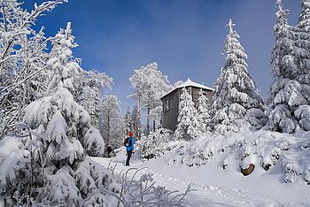 Winter am Goethehäuschen