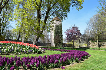 Arboretum in Bad Langensalza