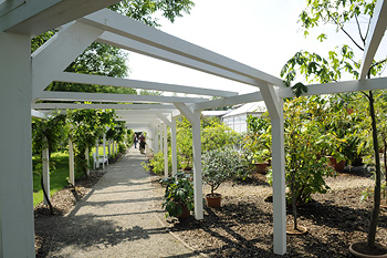 Botanischer Garten - Garten der Vielfalt